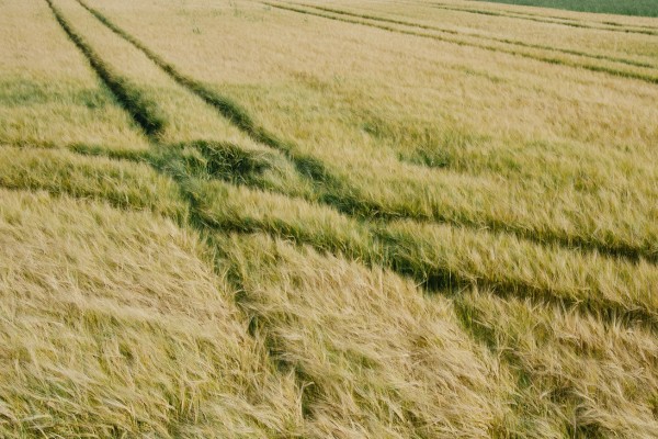 Bild für Coachingangebot