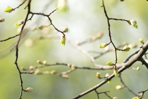 Bild für Einzelberatung